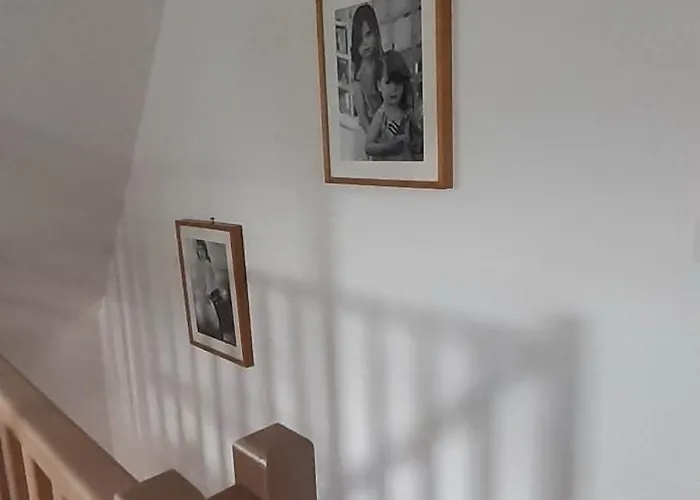 La Cour Saint Nicolas * ברפלר