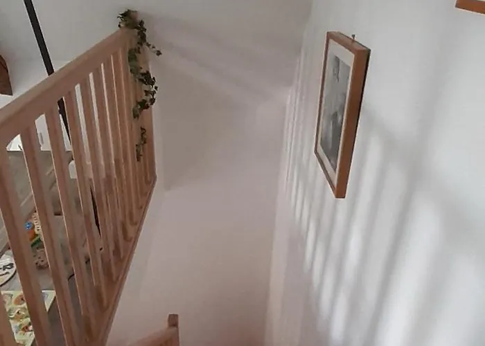 La Cour Saint Nicolas * ברפלר